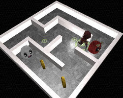 3D Maze and Ninja